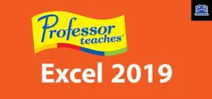 Professor Teaches Excel 2019