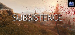 Subsistence 