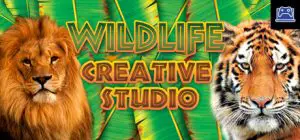 Wildlife Creative Studio 
